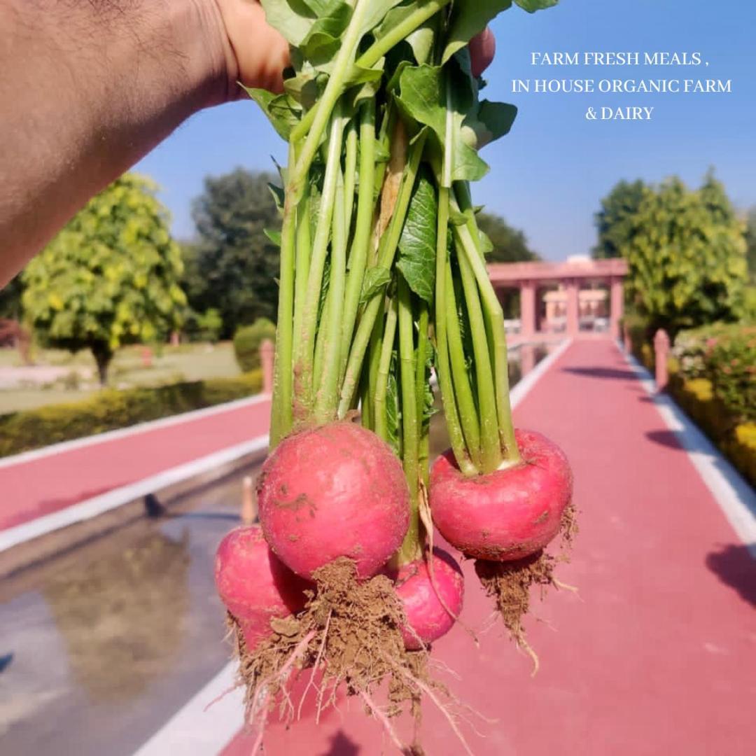 Umaid Palace - A Lakeside Heritage Palace Resort Near Jaipur Close To Bhangarh & Chand Baori Stepwell Abhaneri Dubbī 외부 사진